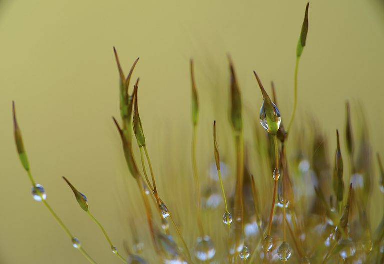 Foto van de maand februari 2024