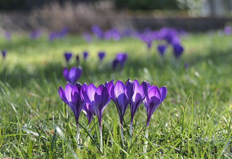 Foto van de maand februari 2022