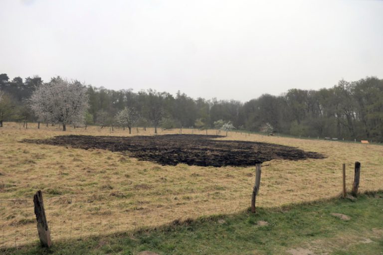 Natuurbrand