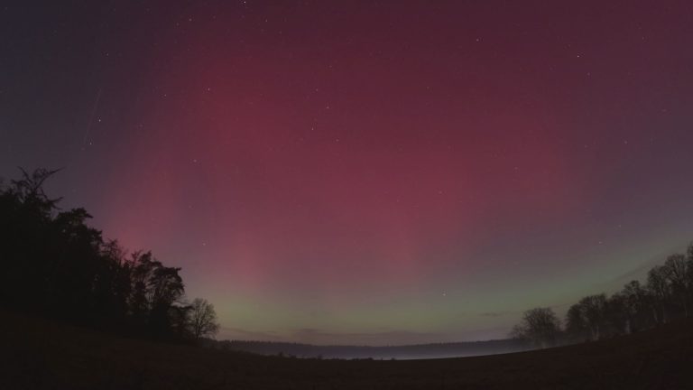 Foto van de maand januari 2026