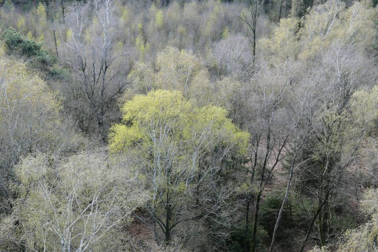 Foto van de maand maart 2026