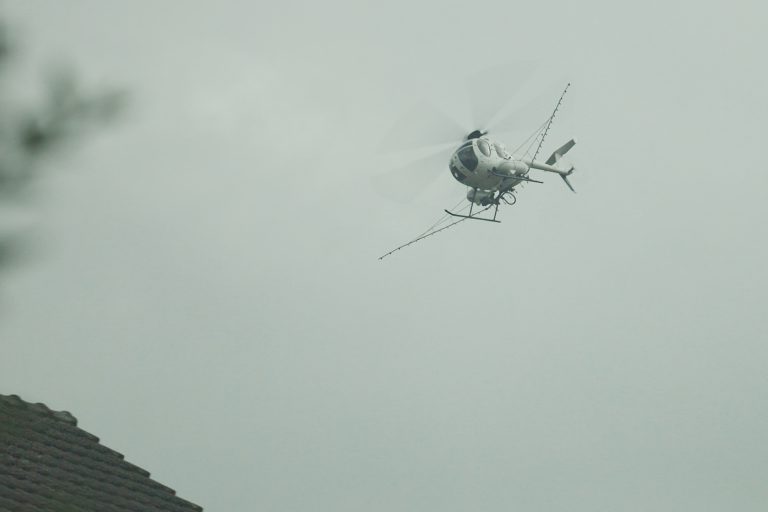 Heli Elten