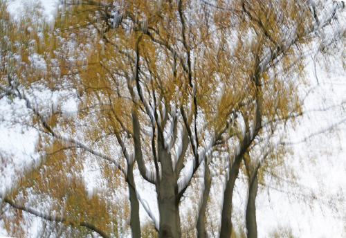 1001526-crop-cor-800r-