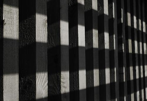 1150928-zw-contrast-800