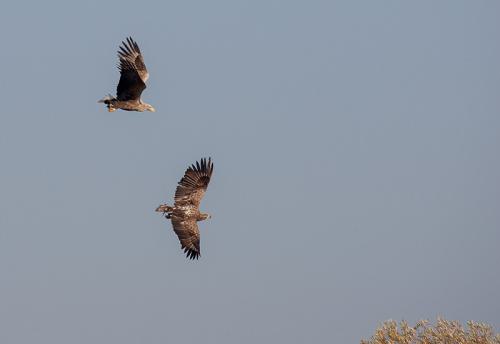 20051029-_U5B2770-800