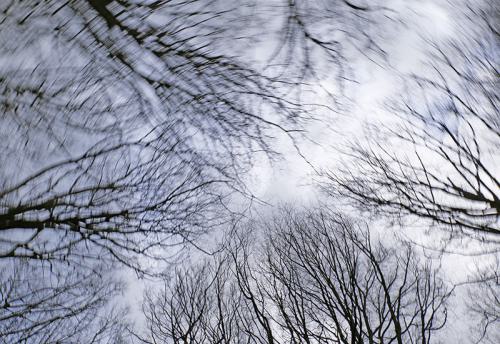 202010311_AVR2927-800