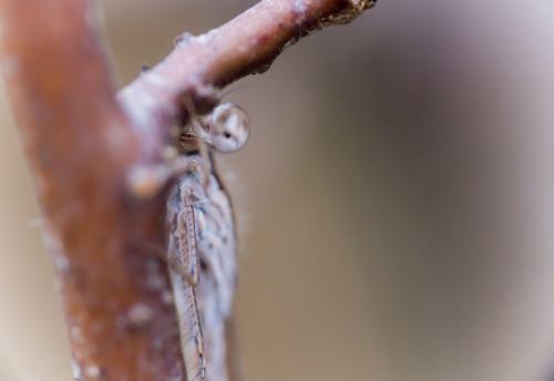 20220125-_1730213-800