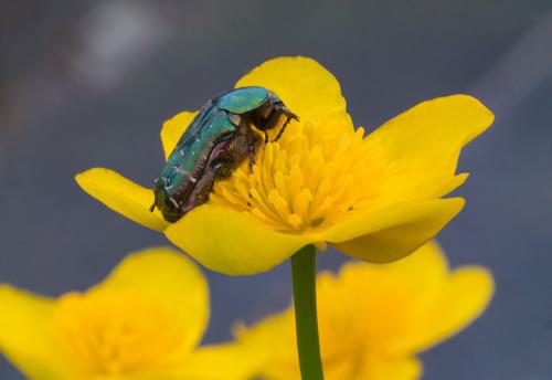 20220330-P1922228-800