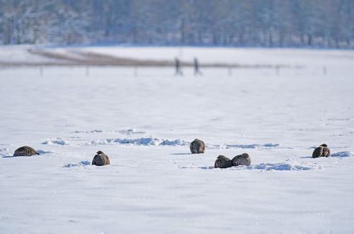 AVR-20210210_PAVR1514-800