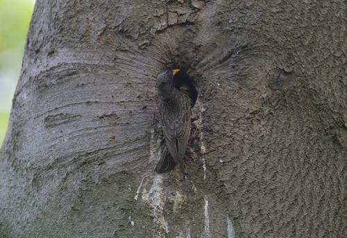 AVR-20210519_1710562-800