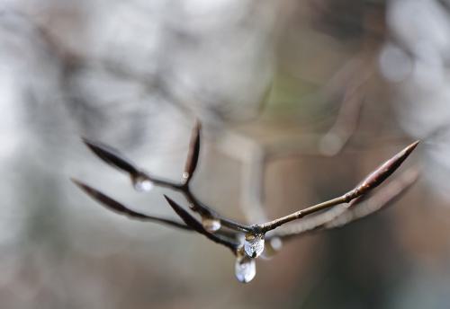 AVR-2021_1822343-800