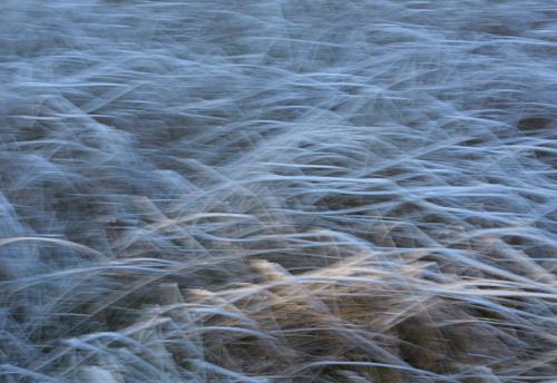 AVR-20221215_1001753-800-corr