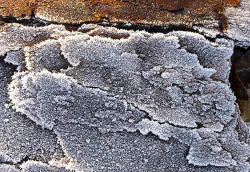 AVR20230207_1002072-800