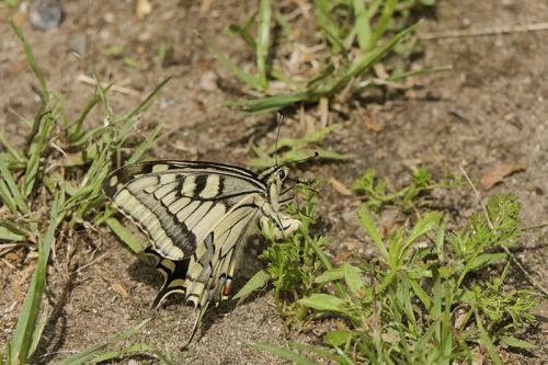 AVR_1030382-800-k-page