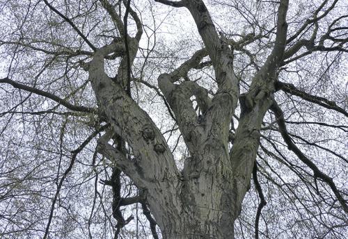 AVR_1070555-bewerkt-800