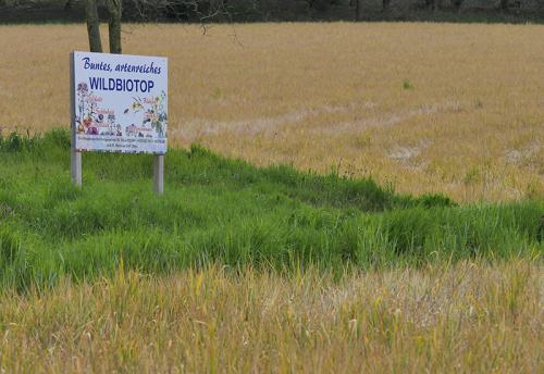 AVR_1070639-800-corr