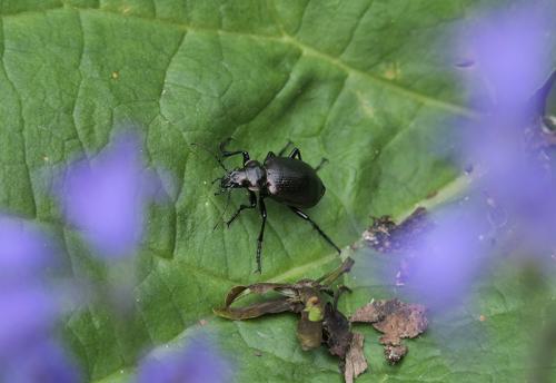 AVR_1090233-crop-800