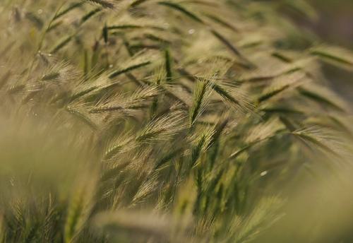 AVR_1090650-corrj-800