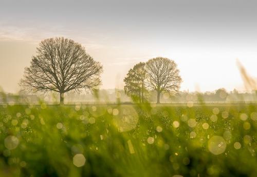 AVR_20151215-Landschap-Stokkum-AVR_20151215_006_1920-800