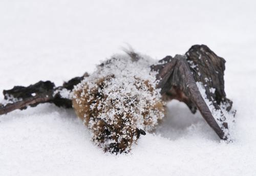 AVR_20210208_1822667-800