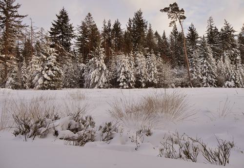 AVR_20210209_1822773-800