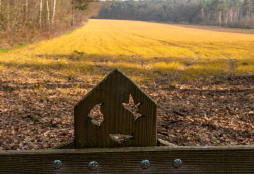 AVR_20210323-_1700912-800