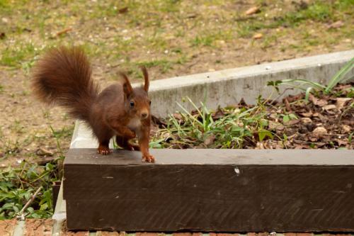 AVR_20210323-_1700955-800