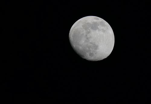 AVR_20210324_800-PAVR1678