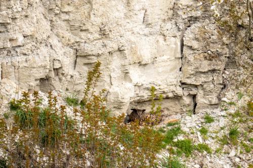 AVR_20210402-_AVR3610-800