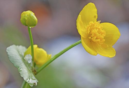 AVR_20210406_1710236-800