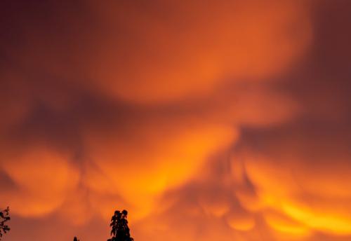 AVR_20210507-_1844690-800