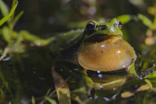 AVR_20210603-avr_20210523bk