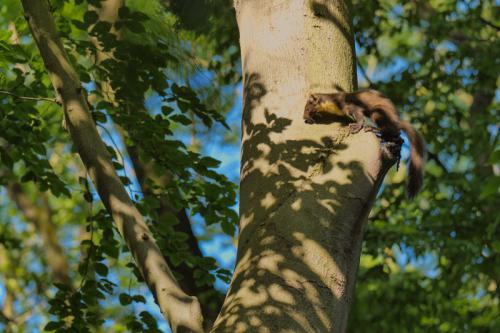 AVR_20210609-bm-latrine-2-_-2