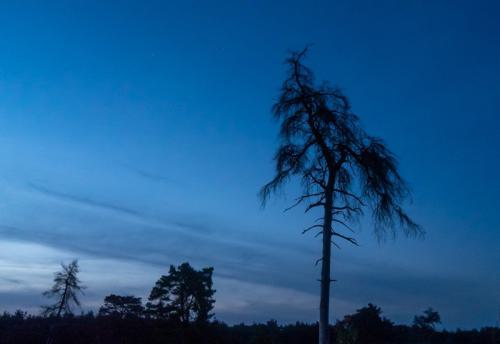 AVR_20210611-_1866796-800