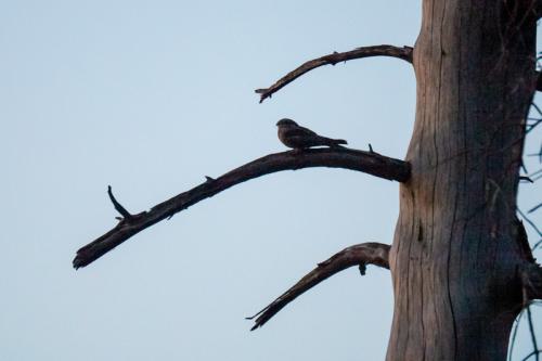 AVR_20210613-_1710735