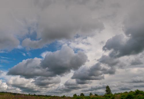 AVR_20210706-_1877779-800