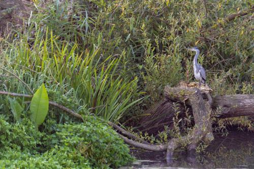 AVR_20210909-_AVR8822-2