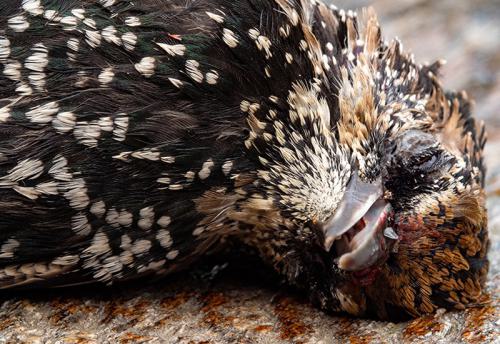 AVR_20210917-_1720486-800