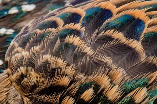 AVR_20210917-_1720496-800