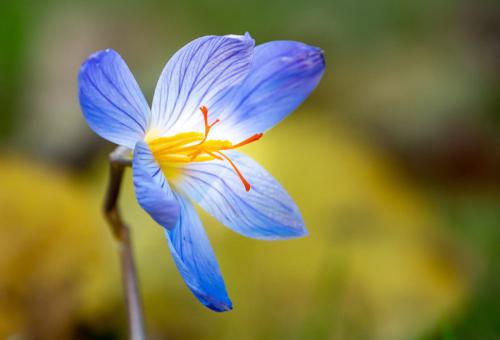 AVR_20211005-_1720675-800