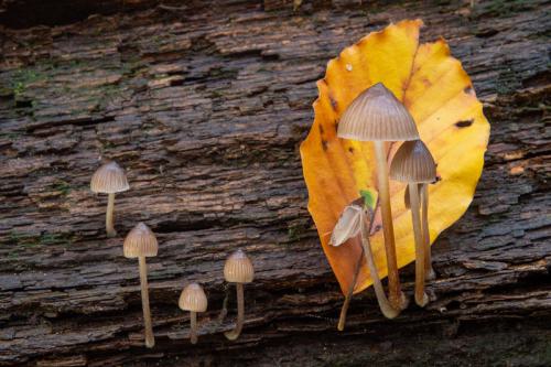 AVR_20211108-_1730049