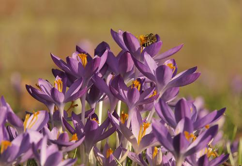 AVR_20230213-1070036-800