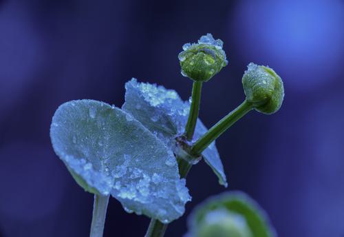 AVR_20230308-_1002671-800