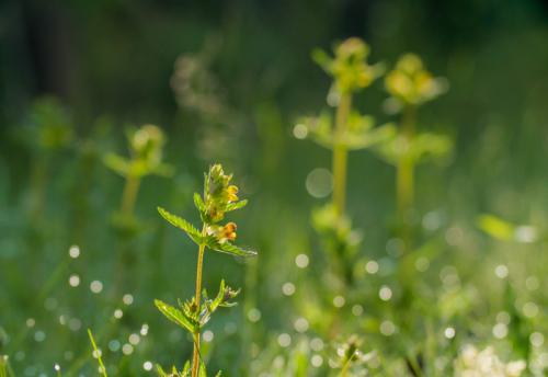 AVR_20230525-_1003629-800