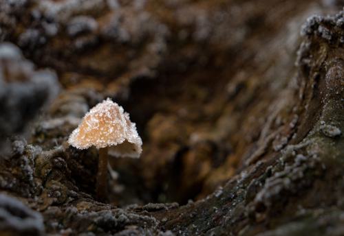 AVR_20231130-_1760660-800