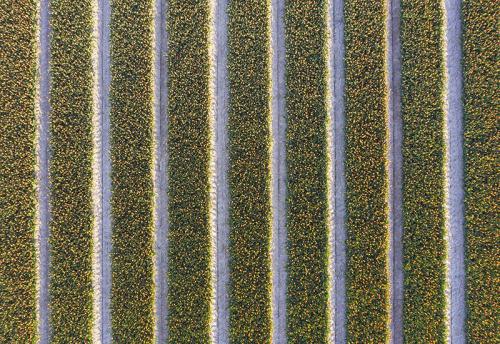 DJI_0008-bewerkt-800