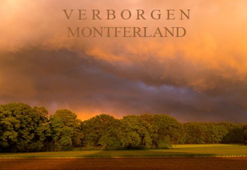 VERBORGEN-MONTFERLAND_1499095-jubileum-AvR-en-AZ-800